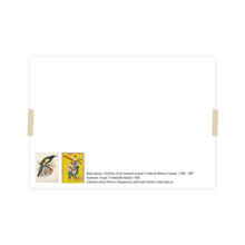 Load image into Gallery viewer, Postcard collage Allard Pierson collection - Birds Biking