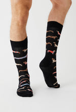 Load image into Gallery viewer, BePets 100% organic cotton: 41/46 / Black / intl