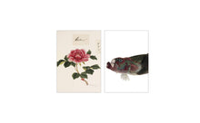 Load image into Gallery viewer, Postcard collage from the Naturalis collection - The lover