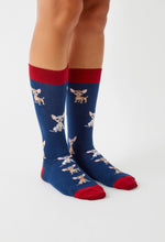 Load image into Gallery viewer, BeChihuahua 100% organic cotton: 41/46 / intl / Blue