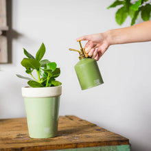 Load image into Gallery viewer, Green Metal plant mister - ↑ 19,5 cm