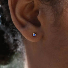 Load image into Gallery viewer, Francois EARRINGS: Navy / Gold