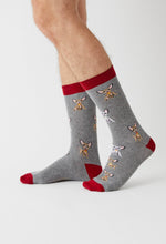 Load image into Gallery viewer, BeChihuahua 100% organic cotton: 36/40 / intl / Grey