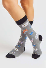 Load image into Gallery viewer, BeCats 100% organic cotton: 36/40 / intl / Flock