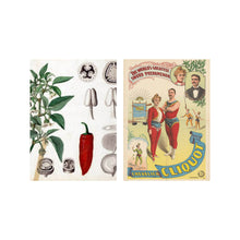 Load image into Gallery viewer, Postcard collage Allard Pierson collection - Peppermint