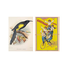 Load image into Gallery viewer, Postcard collage Allard Pierson collection - Birds Biking