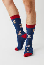 Load image into Gallery viewer, BeChihuahua 100% organic cotton: 41/46 / intl / Blue