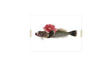 Load image into Gallery viewer, Postcard collage from the Naturalis collection - The lover
