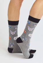 Load image into Gallery viewer, BeCats 100% organic cotton: 36/40 / intl / Flock