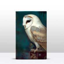 Load image into Gallery viewer, Laqueprint - Silent Majesty: The Gaze of a White Owl - Hand-lacquered - 19.5 x 30 cm - LP364