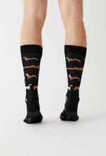 Load image into Gallery viewer, BePets 100% organic cotton: 36/40 / Black / intl