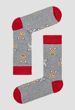 Load image into Gallery viewer, BeChihuahua 100% organic cotton: 41/46 / intl / Grey