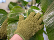 Load image into Gallery viewer, Plant dusting gloves green - Microfiber
