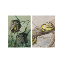 Load image into Gallery viewer, Postcard collage Zaans Museum - Kievietsbloem en snail
