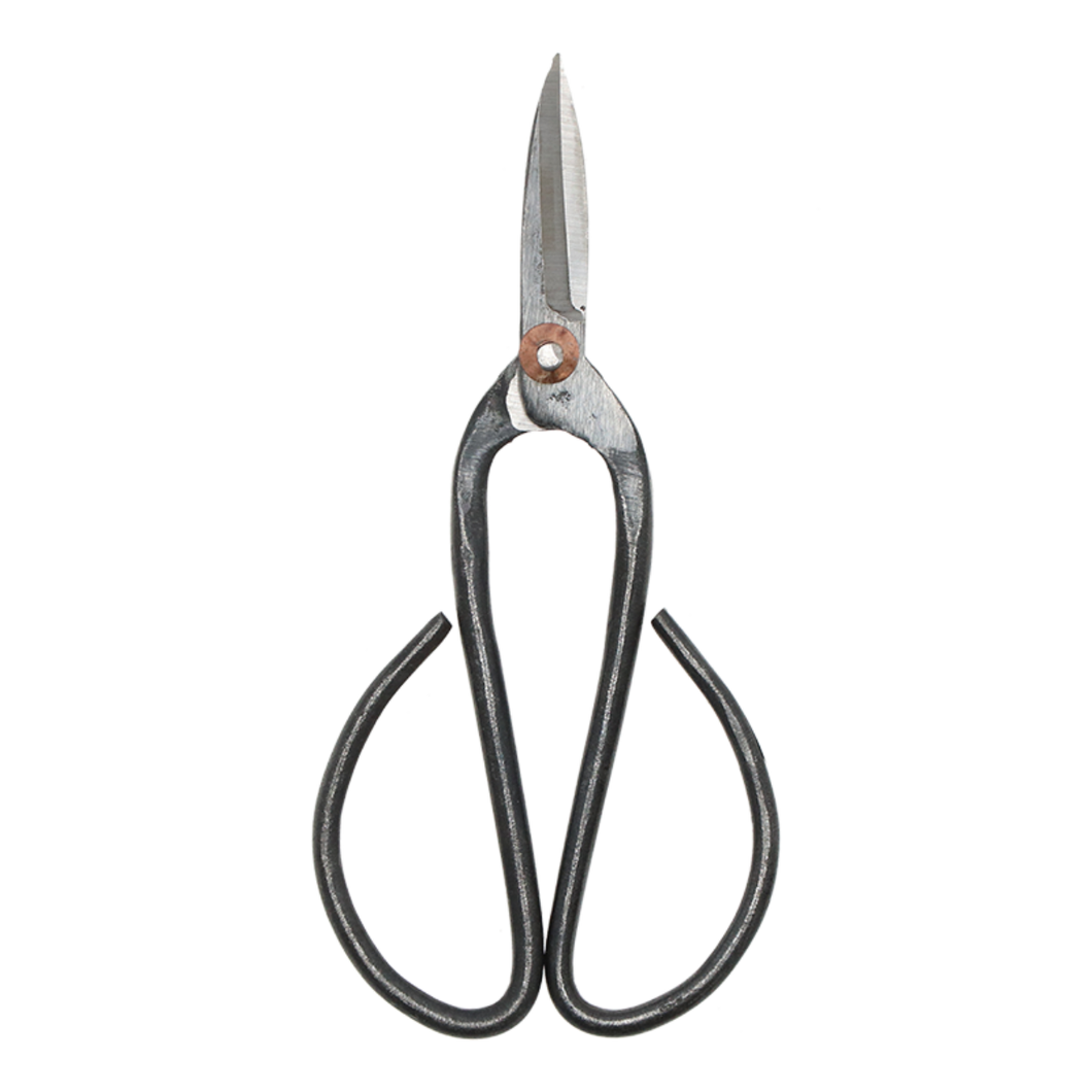 Bonsai shears L - 19 cm - Bonsai tool