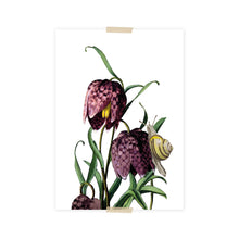 Load image into Gallery viewer, Postcard collage Zaans Museum - Kievietsbloem en snail
