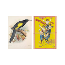 Load image into Gallery viewer, Postcard collage Allard Pierson collection - Birds Biking
