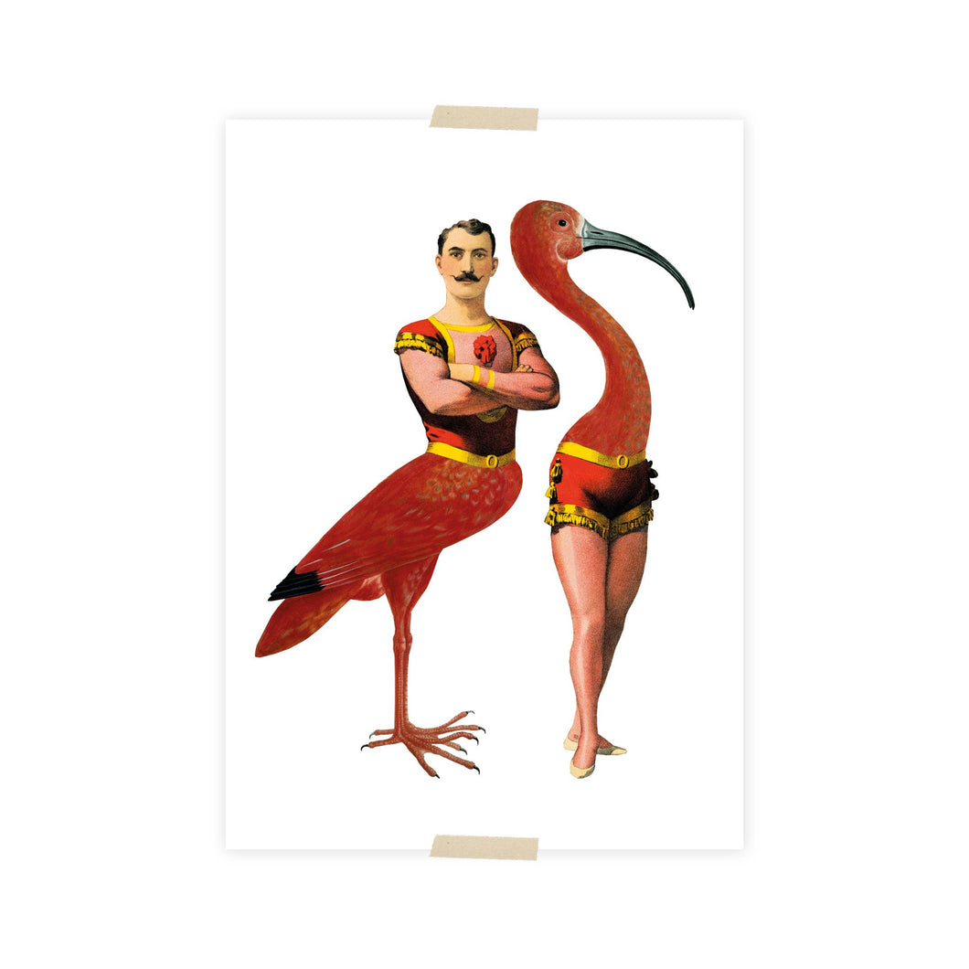 Postcard collage Museum collection - acrobat and ibis