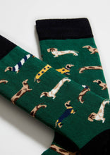 Load image into Gallery viewer, Bepets Green - 100% Organic Cotton Socks: Green / Intl / 36/40
