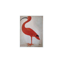 Load image into Gallery viewer, Postcard collage Museum collection - acrobat and ibis
