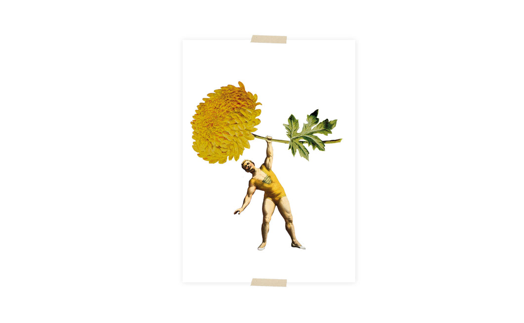 Postcard collage strong man with yellow chrysanthemum