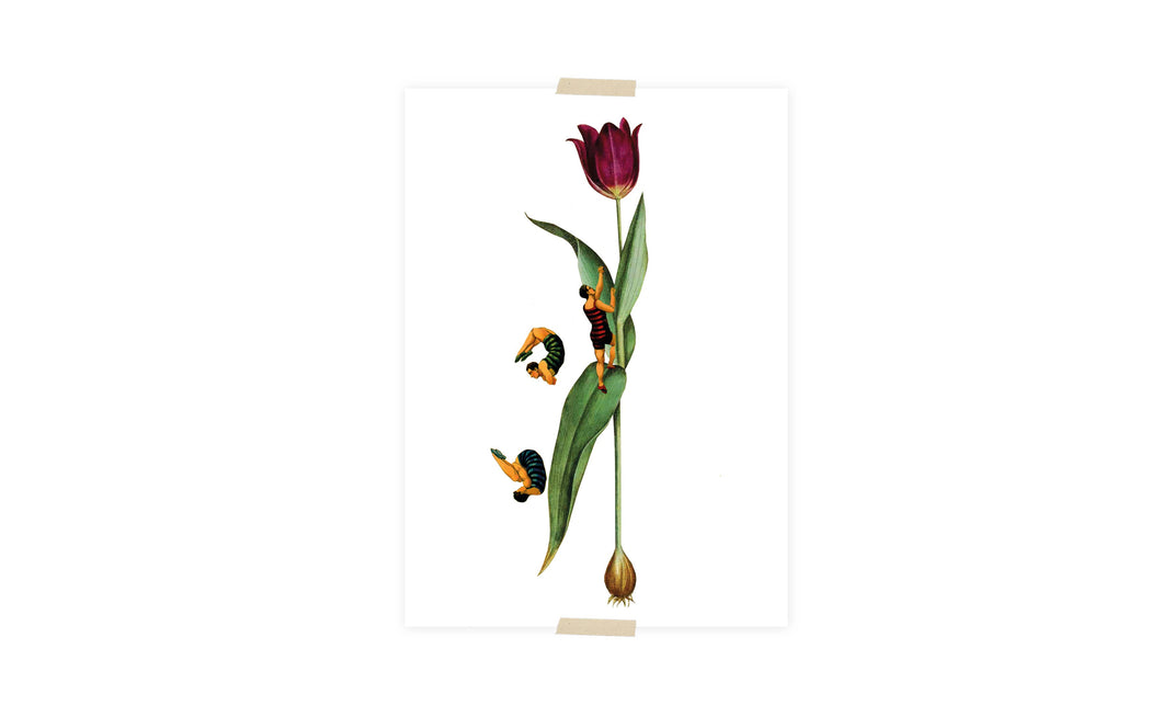 Postcard collage tulip with jumpers