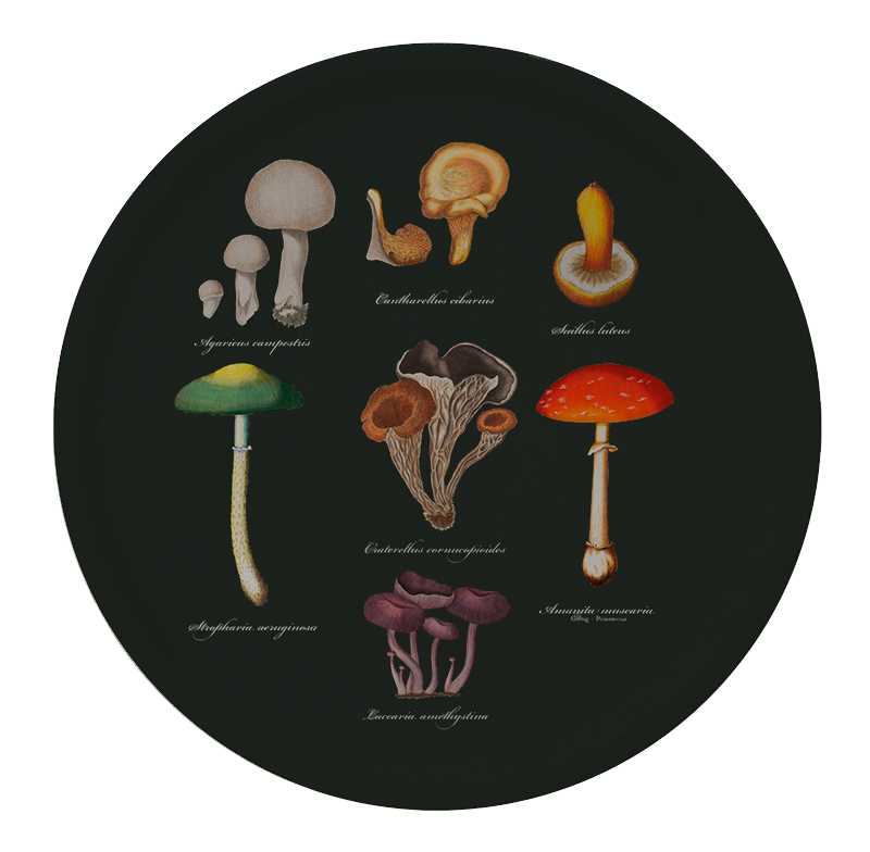 Mushroom tray -Ø38 birch veneer- made in Europe