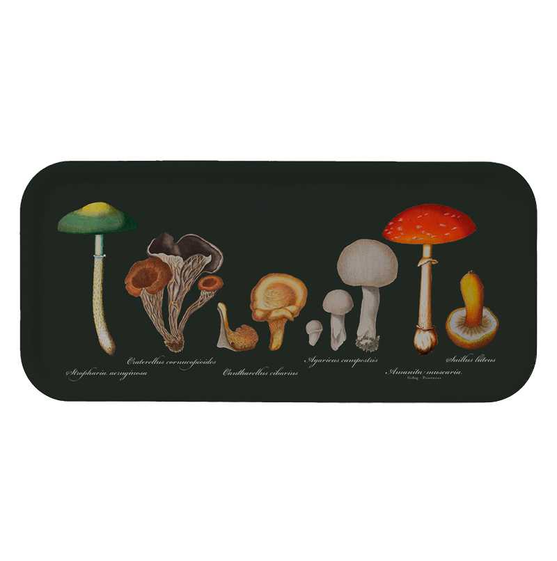 Mushroom serving tray  with dark green background - 32x15-